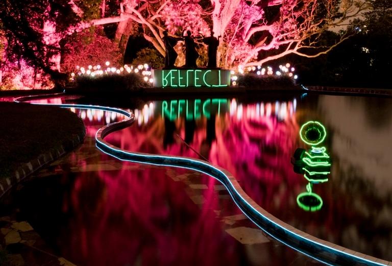 Mirjam van Sabben;Reflect;I took this photo at Power Plant, an art installation based in the Auckland Domain that was part of the Auckland Art Festival in 2017