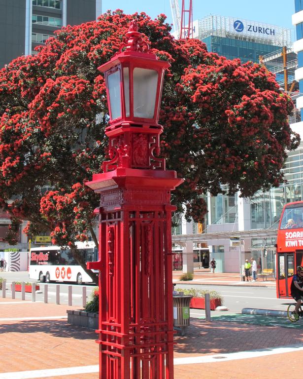 Stuart Weekes;Auckland's December colour is Red;Brilliant light on Key Street