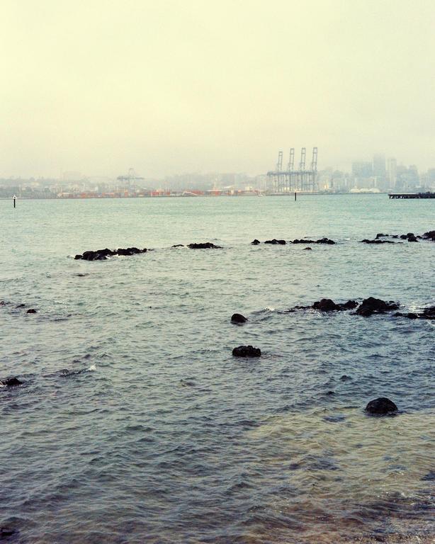 View of the docks from Torpedo Bay, Devonport. Shot with medium format film.