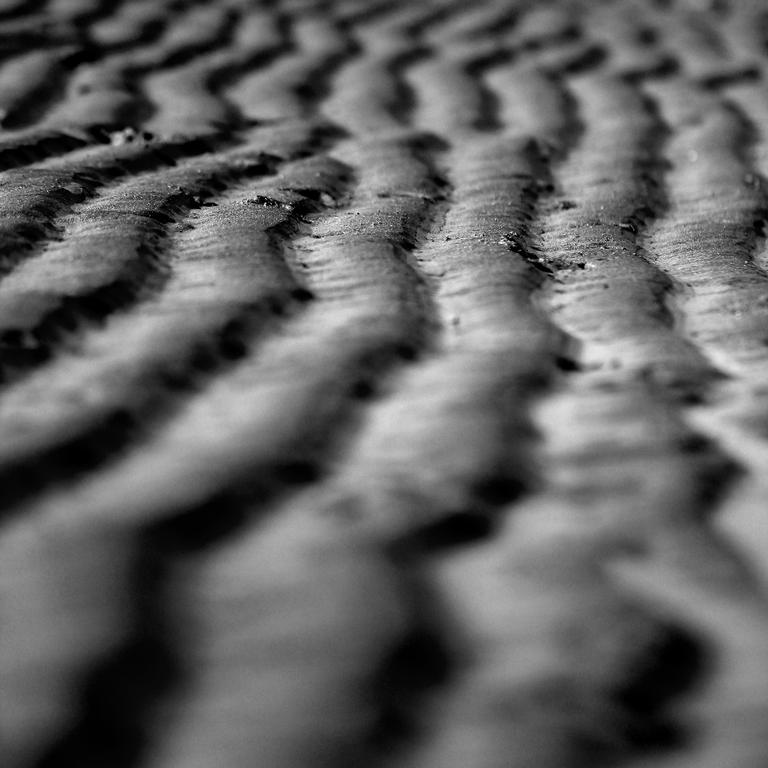 Sand ripples on Cheltenham Beach