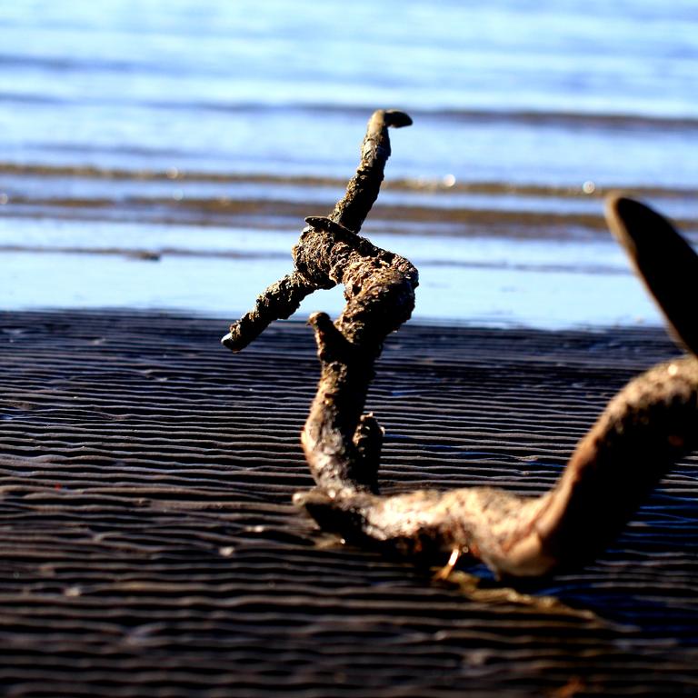 Wood on Beach