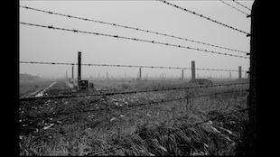 Auschwitz Revisited