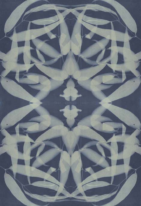 Anne-Marie-Basquin-Eucalyptus-Tessellation-copy