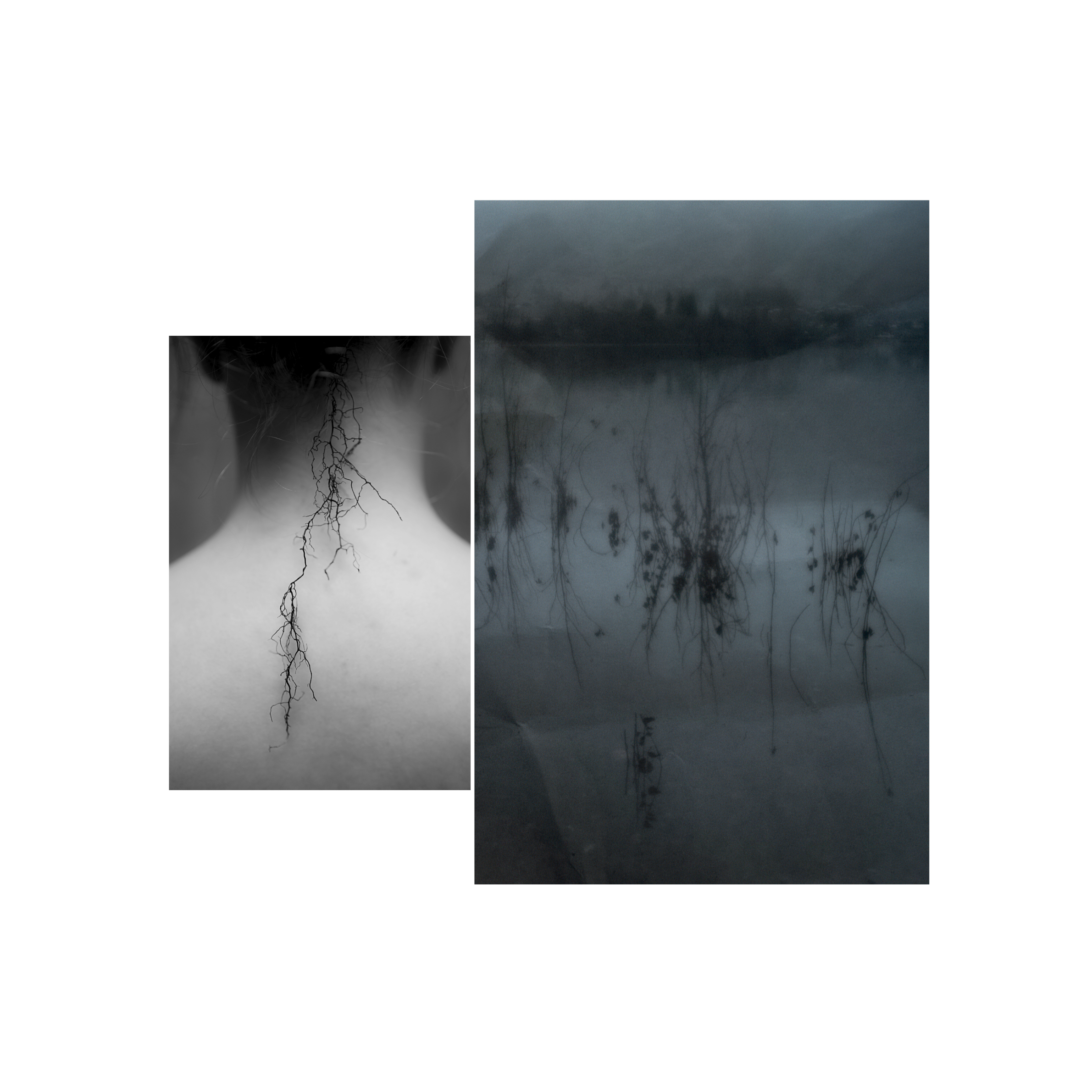 Auckland Festival of Photography