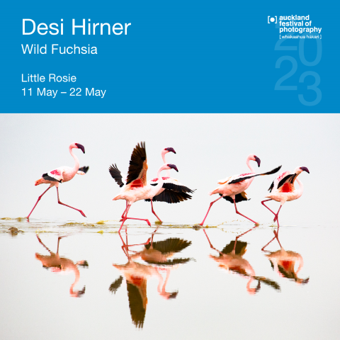 Desi Hirner; Wild Fuschia