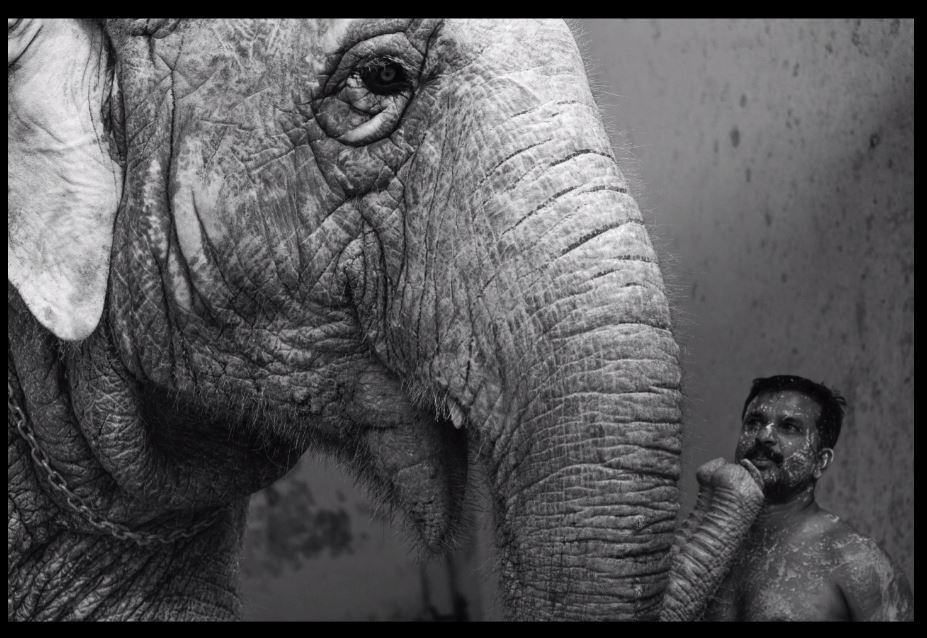 Pattabi Raman; Mammoth and Mahout