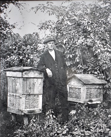 Jozef Ulma: Apiary