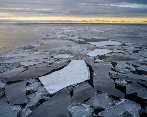 Richard Young; Antarctica