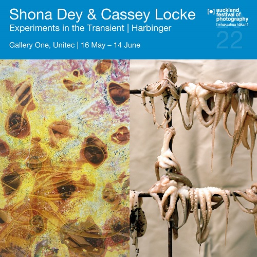 Gallery One; Shona Dey - Cassey Locke