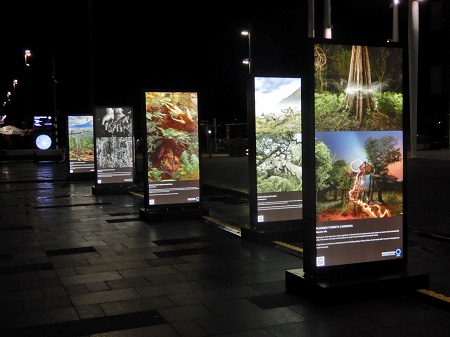 Lightboxes - Sustain VITAL 2025