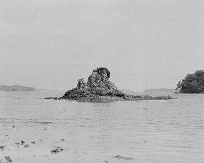 Hannah Rose Arnold; Low Tide - Omakiwi Cove