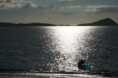  Towards the Coromandel Peninsula