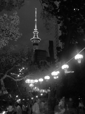 Judi Millar; Lanterns; Lanterns trailing up to the park