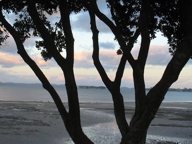 Katyanne Topping; What do you see between the branches?; Taken at Howick Beach.