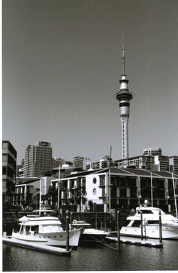 Katie Knock; An iconic view; viaduct harbour view of sky tower