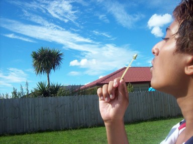 Haani Badeeu; blowing it off; it seems like ma lil bro is tryna blow off those clouds with a flower bud which is absolutely imbossible but this shot came pretty nice. Taken from my house backyard in Mangere.