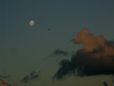 Zelda Wynn; March 31 Sky; Moonrise and sunset reflection looking ENE
