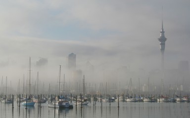 Sandrina Huish; Auckland under the blanket; Early on September morning at the water front.