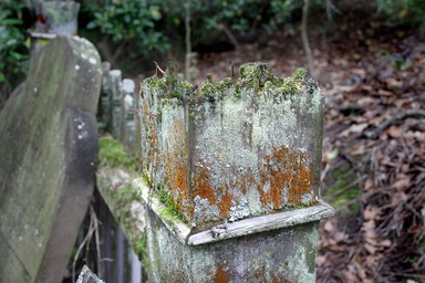 Sandrina Huish; Grafton Cemetery in May; A quiet walk in NZ history   lost and forgotten