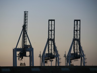 Graeme Reeves; Auckland Cranes in the Morning; Taken July 2006
