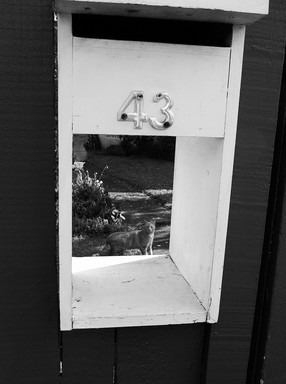 Tineke van der Walle; Mail Box