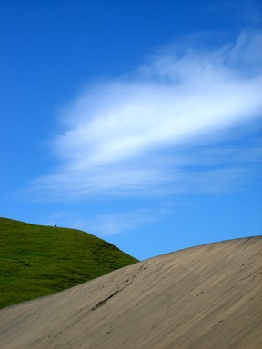 Martin horspool; Bethell's dune