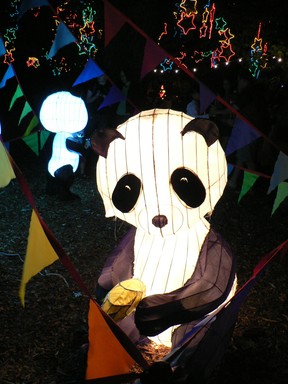 Cherry Hsu; Joy; Panda lantern