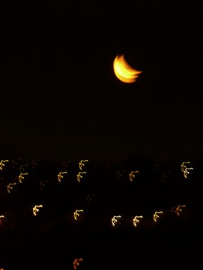 Katyanne Topping; Emphasis on the Moon; I love the way that this photo appears to show movements of light, and three moons