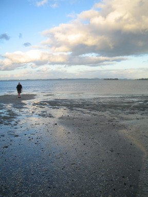 Katyanne Topping; Man on the beach; Taken at Howick Beach