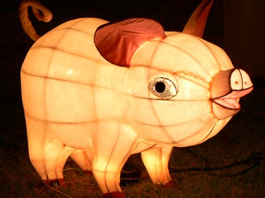 Cherry Hsu; Glowing Piggy