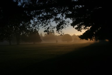 Graeme Reeves; Golf Course at Dawn; A magic dawn