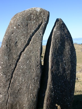  Stoney Batter Waiheke Island - the wonders of nature!