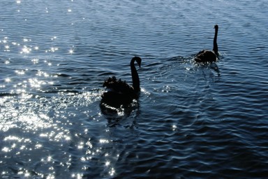 Azri Adnan; Lake Pupuke; This photo was taken at Lake Pupuke