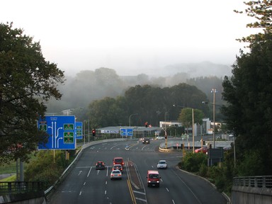  Auckland Domain obscured by early morning fog