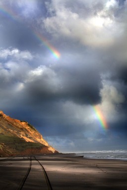 Kristi Biswas; Rainbow; Taken near Manukau heights