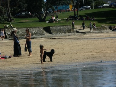 Zelda Wynn;Fetch;A child enjoying warm spring weather on Takapuna Beach,ordering a dog to fetch the ball.