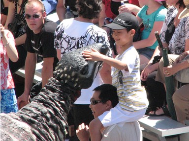  A young boy has a close encounter with one of Auckland Museum's resident dinosaurs.