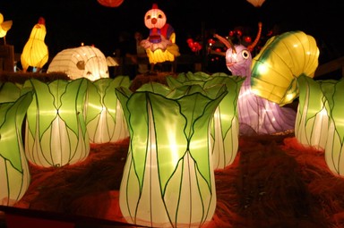 Mariko Ono;Bok Choy Garden;Lantern Festival, Albert Park