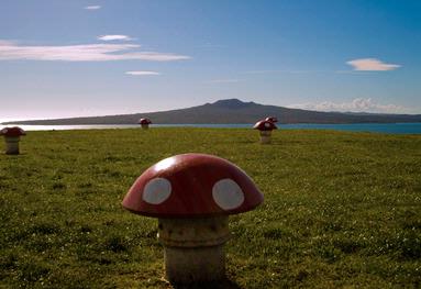 David Cotton;Mushrooms on the Mount