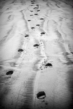 Katie Rewa Davies; Footprints; At Bethells beach, west auckland
