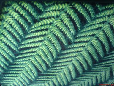 Medha Ghatikesh;Ferns On Bus Seat;The pattern on a seat of a new Metrolink bus. Resembles real ferns doesn't it?!