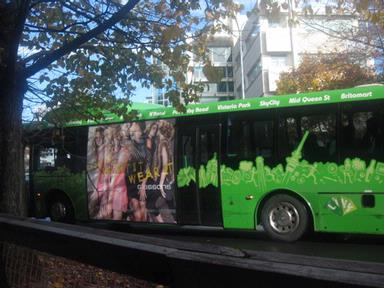 Yuanyuan; Green Bus