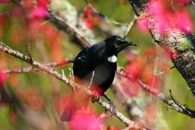  Early spring feeding