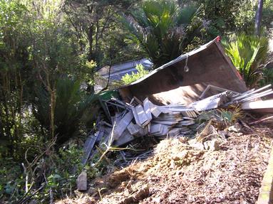 Cameron Leakey; Examining the Damage; This Photo Is of the truck that crashed in the bush near my driveway