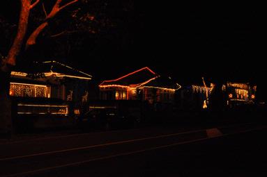Chamalie Jayaweera; Franklin Street light up for xmas