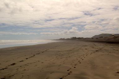  No one at Muriwai Beach