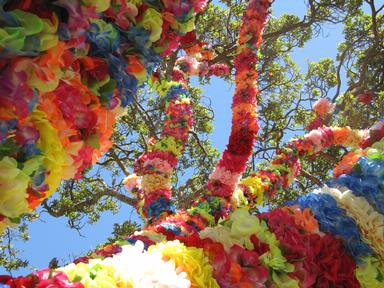 Tamara Stewart; Tree of lei; Splore Festival, Tapapakanga Regional Park