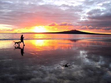 JERRY ZINN;A man and his dog; Wonderful sunrise on Takapuna beach
