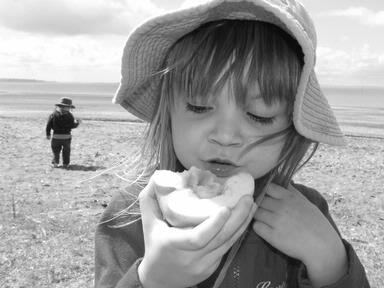 Samantha Milne; Lily with apple; I took my daughter Lily and son Shaye to Cornwallis Beach on a lazy Sunday afternoon. We took a picnic and they were busy eating an apple. I love this picture, tasting the apple with her eyes before she takes a bite.  I cut the core out of the apple and in the picture it looks like a peach.
