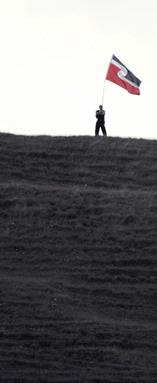 Bryan Lay Yee; Waitangi Day 2011 Vigil; Mangere Mountain